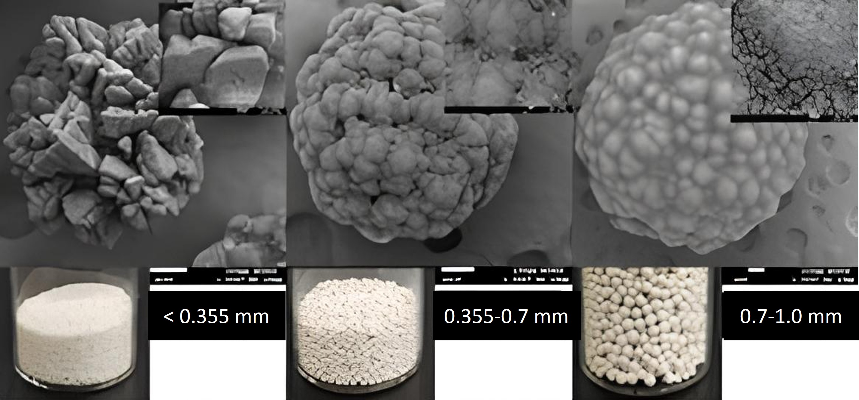 下方為碳酸鈣結晶粒尺寸標示及常規照片,上方為結晶粒之電子顯微鏡之照片